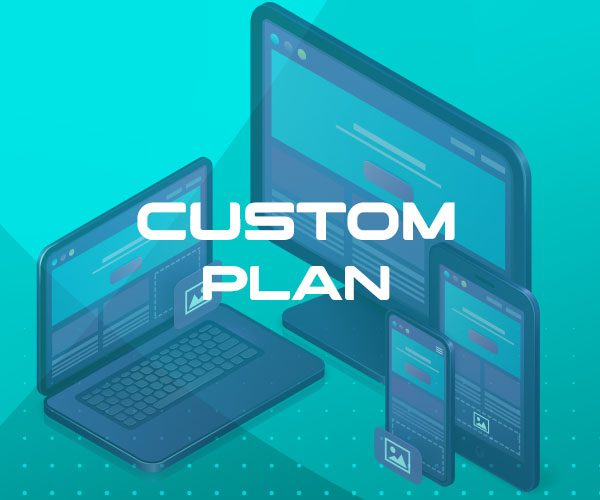 Custom Plan